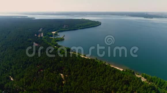 松林景观和宁静的河流鸟瞰视频的预览图