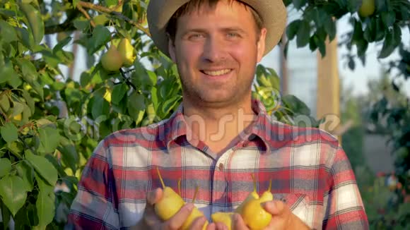 农夫手握熟梨在果园里吸香视频的预览图