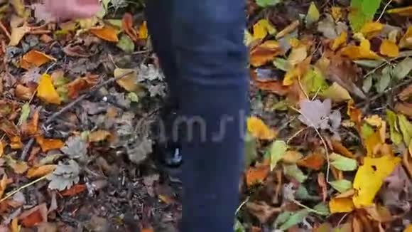 人在森林里踏足秋天的床单视频的预览图