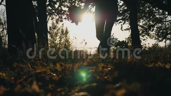 年轻女子手里拿着一束黄色的叶子穿过秋天的森林把它们扔出去视频的预览图