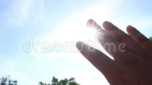 太阳穿过手掌视频的预览图