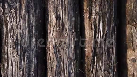 老原木躺包木纹视频的预览图