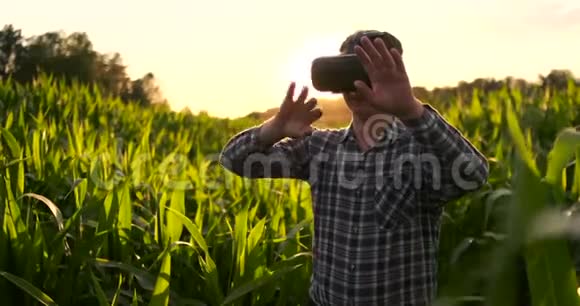 现代农民在VR头盔控制玉米作物站在田野日落阳光视频的预览图