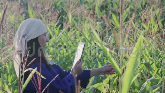 穿着工作服的女农学家带着平板电脑在农业耕地上视频的预览图