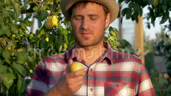 一个红色花园背景下的雄性农夫吃熟梨视频的预览图