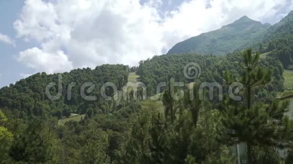 山脉覆盖着雨林树木高加索山脉景观山峰覆盖森林视频的预览图
