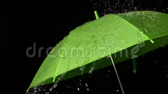 雨落在绿伞上视频的预览图
