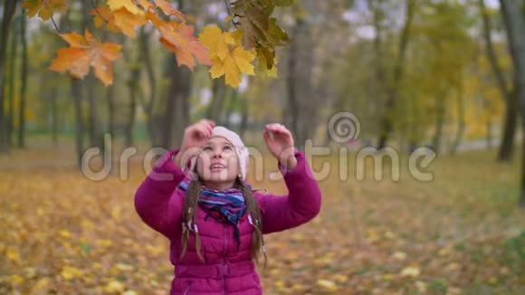 可爱的孩子在秋天到达树枝视频的预览图