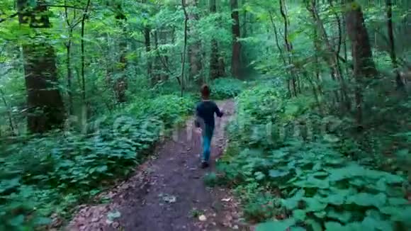 小女孩走在小径上独自一人在黑暗诡异的森林里视频的预览图