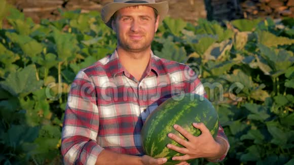 快乐的农夫在牧场的种植中饲养成熟的西瓜视频的预览图