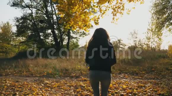 不可辨认的年轻女子在秋天的公园里跳跃扔黄色的枫叶色的树叶飘落下来女孩视频的预览图