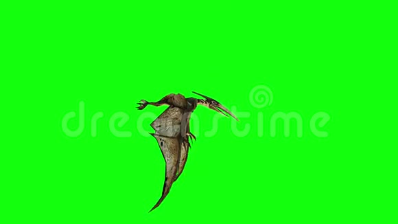 翼龙飞行三维动画绿色屏幕4K镜头视频的预览图