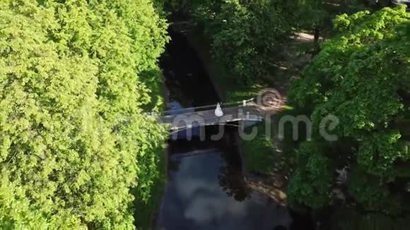 公园桥上的婚礼情侣视频的预览图
