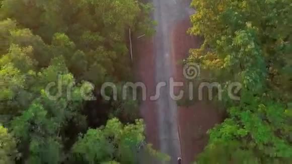 在春色葱郁的绿林中骑自行车的骑自行车的空中景色温暖的晨光视频的预览图