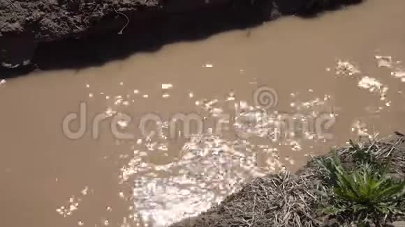 一条泥泞的小溪在阳光下闪闪发光视频的预览图