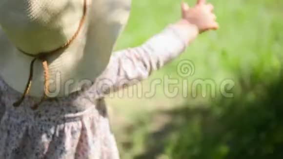 小女孩戴着草帽和连衣裙摸树叶夏日视频的预览图