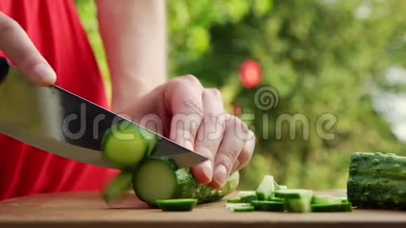 女人从菜园里切新鲜黄瓜做沙拉视频的预览图
