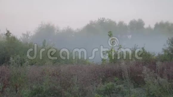 秋日清晨的雾中手持的平底锅绕着田野视频的预览图