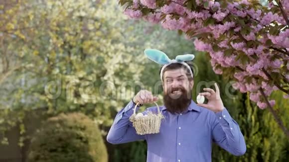 猎蛋和有趣的复活节长胡子的人戴着兔子耳朵和复活节彩蛋穿着奇怪的兔子视频的预览图