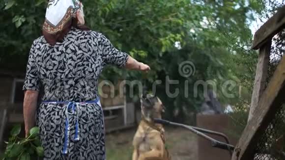 链子上的狗对他年迈的情妇的到来感到高兴乡村生活孤独的贫困老人社会观念视频的预览图