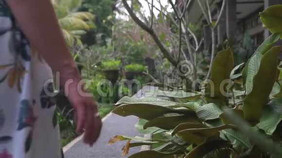 在大自然中行走的年轻女子印度尼西亚巴厘视频的预览图