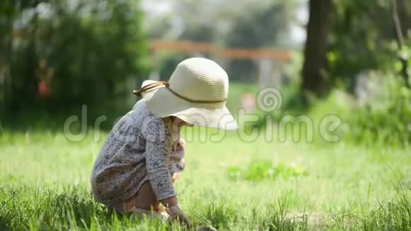穿着草帽和连衣裙坐在草地上的小女孩夏日视频的预览图