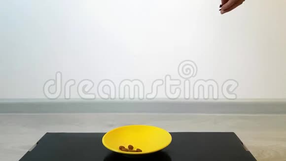 女人手把美味放进碗猫里猫和黄色的碗很相配吃干粮和树叶视频的预览图