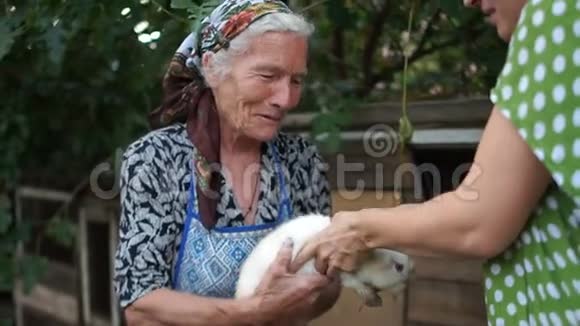 一位老太太把一只兔子交到一个小女孩手里养兔场兽医护理体检视频的预览图