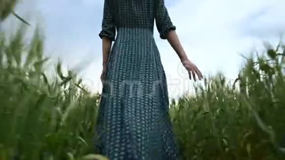 低角度后视一个穿着宽松绿色连衣裙的年轻女孩悠闲地沿着一片绿色的麦田散步的概念视频的预览图