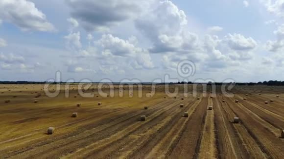 在田野的另一边可以看到大量的干草包收获后的夏天4k视频的预览图