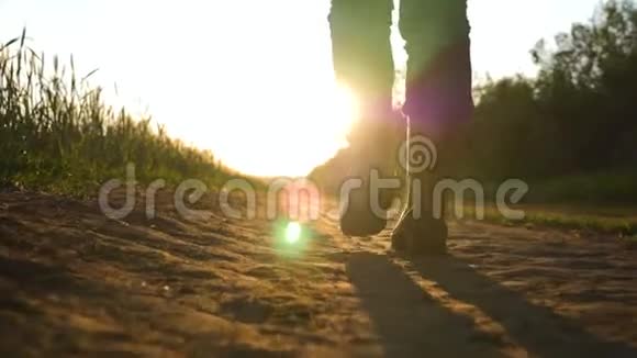 日落时分一个农民沿着一片绿色的麦田走在一条乡村道路上成功之道成功的商业方式这就是视频的预览图