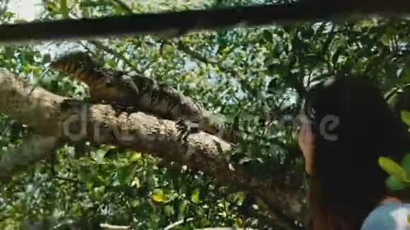 巨型野生大草原监测蜥蜴爬上阳光明媚的树枝年轻美丽的旅游妇女摸着它的尾巴兴奋视频的预览图