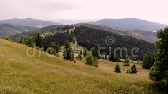 空中射击美丽的夏季景观群山被茂密的绿色针叶林遮蔽喀尔巴阡山脉视频的预览图