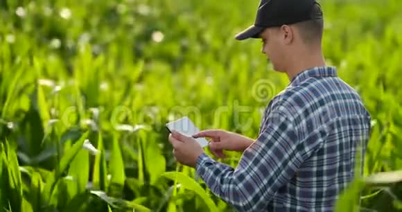 中期计划侧视图男性农民用平板电脑检查田里的植物手指按在地上视频的预览图
