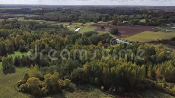 秋天的河流弯曲和小树林空中视频的预览图