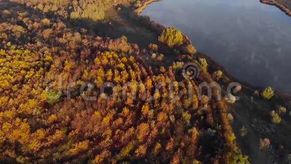 空中拍摄的在湖岸一片薄雾弥漫的混交林中的日出视频的预览图