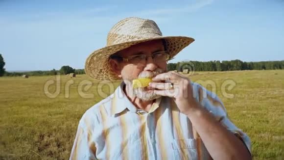 老人在草地上吃瓜视频的预览图