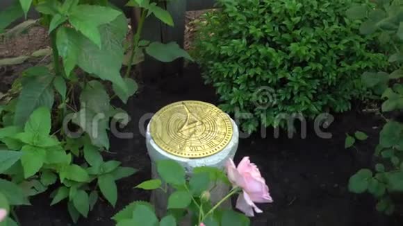 以玫瑰为背景在英国花园里合上日晷视频的预览图