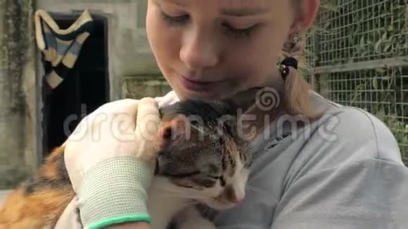 女志愿者的特写镜头在收容所里抓住猫动物收容所概念视频的预览图
