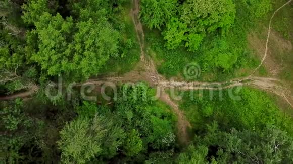 无人机视野4K空中俯视林地神秘森林道路视频的预览图