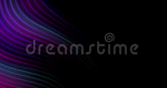 4k抽象背景蓝色紫色紫色和粉红色霓虹灯发光线在黑色演示文稿模板视频的预览图