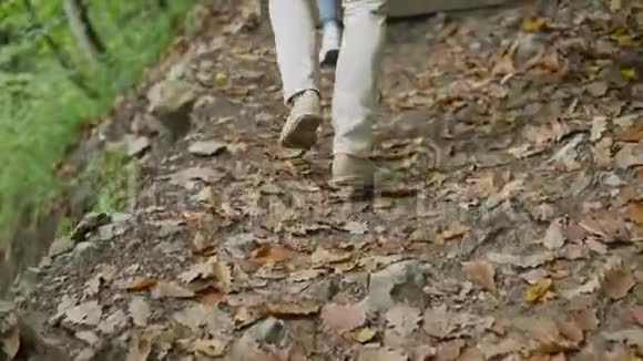 运动鞋在山上散步户外活动游客们沿着森林中的小径散步山地步行视频的预览图