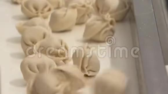 制作饺子安装制作馄饨食品1视频的预览图