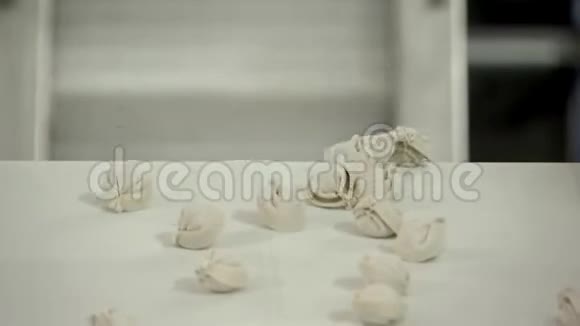 生产饺子安装生产馄饨食品7视频的预览图