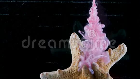 海星和不同颜色在水下的混合彩色墨水掉进了水族馆视频的预览图