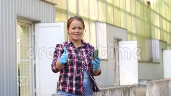 一个戴着蓝色手套的女园丁的特写镜头手里拿着一根新鲜的绿色黄瓜视频的预览图