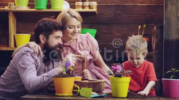家庭用盆种花房子的花儿童与土壤的游戏漂亮的木质背景可爱的孩子是视频的预览图