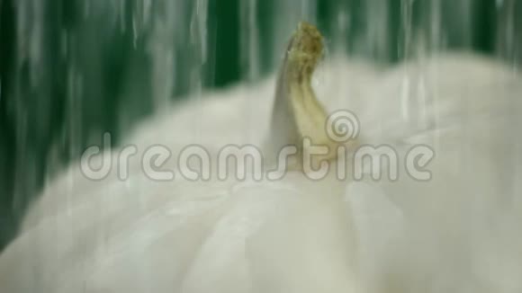 在视频中我们看到一个白色的南瓜水从顶部开始倾泻就像雨一样然后像水滴一样停下来视频的预览图