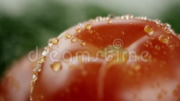 在视频中我们看到一个西红柿和绿色植物在视频的末尾水开始从顶部像淋浴一样倾泻下来视频的预览图
