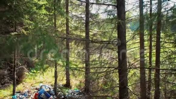 针叶林中的垃圾堆视频的预览图